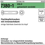 Reyher Flachkopfschraube ISO 7380-1 Innen-6kt M16x40 010.9 galv.verz. 100St.