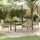 vidaXL Garten Essgruppe 5-tlg. Beige