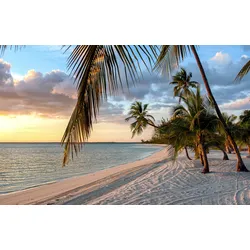 Fototapete PAPERMOON "Strand mit Palmen", bunt, B:4,00m L:2,60m, Vlies, Tapeten