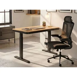 Beliani Schreibtisch elektrisch höhenverstellbar PENLY Schwarz / Hellbraun 120 cm 60 cm mit USB-Anschluss