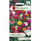 Zinnia elegant Liliput Mischung