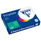 Clairefontaine Kopierpapier Trophée tannengrün DIN A4 120 g/m2 250 Blatt