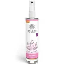 Baldini Raumspray Feelruhe