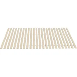 vidaXL Bettlattenrost Ersatz mit 48 Latten 2 Stk. 100 x 200 cm