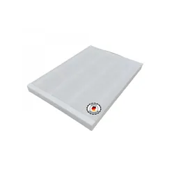 RECOM EPP3SE F7 Filter (Smog und Pollen)
