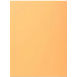 Exacompta 339000E 5x 50er Packung Sammelmappen SUPER 210 mit eine Klappe - Farben sortiert