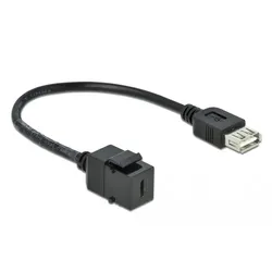 Delock Keystone module - Modulare Eingabe - USB Typ C
