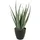 PROGARDEN Kunstpflanze im Topf Aloe Vera 25x45 cm