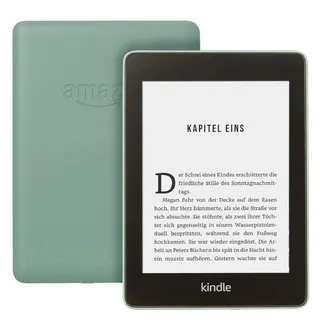 Kindle Paperwhite E-Book grün