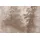 Living Walls Vliestapete Beton-Tapete mit Waldmotiv Natur Tapete Industrial 10 m 0,02 m 1 St braun