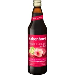 RABENHORST Wohlfühlen mit Eisen Saft 700 ml