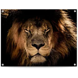 Poster REINDERS "Löwe", braun (farbe bild(er): braun), B:80cm H:60cm T:0,1cm, Leinwand, Bilder