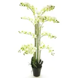 Kunstorchidee Kunstblume Phalaenopsis Orchidee CHENXU, weiß, 140 cm Orchidee (Orchidee phalaenopsis), artplants weiß