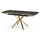 aea Esstisch 120 x 78 x 80 cm Schwarz/Gold