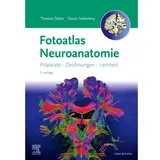 Urban & Fischer/Elsevier Fotoatlas Neuroanatomie, von Thomas Deller/ Tamás Sebestény/