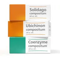 Homöopathisches SUC-Therapie Set 3x10 St Ampullen