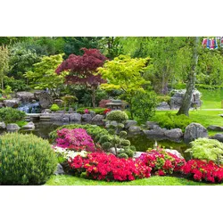 Fototapete PAPERMOON "GARTEN-BLUMEN BÄUME PFLANZEN PARK STEINE BLÜTEN WALD", bunt, B:3,00m L:2,23m, Vlies, Tapeten