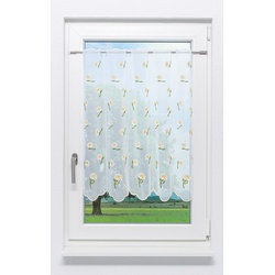 Scheibengardine Plauener Spitze Margerite " (Bx H) 163cm * 80cm" Gelb/gelb-grün