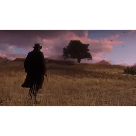 Red Dead Redemption 2 (USK) (Xbox One)
