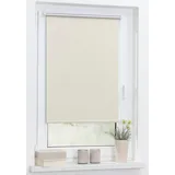 Lichtblick Thermo-Rollo Klemmfix 75 x 150 cm creme
