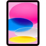 256 GB Wi-Fi + Cellular rose