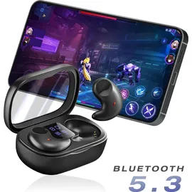 Avizar BT5.3 In-Ears Schwarz