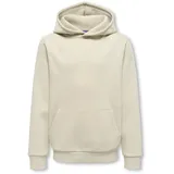 only & sons junior Hoodie Silver 158-164