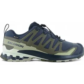 Salomon XA Pro 3D V9 GTX Herren India Ink/Olive Night/Aloe Wash 46