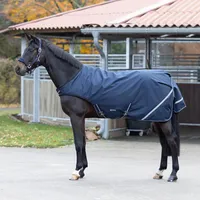 Busse Führanlagendecke Rain Comfort 50g 125 cm Blau