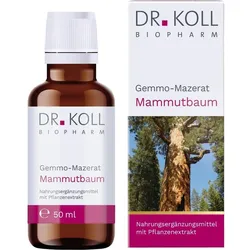 GEMMOMAZERAT MAMMUTBAUM