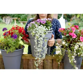 KHW Flowerclip Ø 27 x 27,5 cm Beere