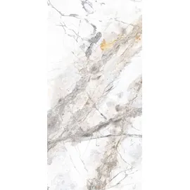Euro Stone Bodenfliese Feinsteinzeug Caldera Silber 60 x 120 cm