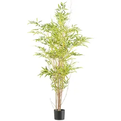 CREATIV green künstliche Pflanze Miniblatt-Bambus, ca 150cm