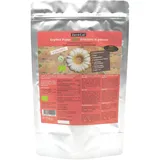 ZeroCal - Dalia Bio Erythrit in Puderform, kalorienfreier Puderzuckerersatz, vegane & zahnfreundliche Alternative zum Kochen & Backen, 750 g