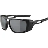 Alpina SKYWALSH black matt