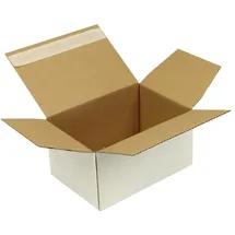 Jungheinrich PROFISHOP Wellpapp-Faltkarton 1-wellig 230 x 160 x 120 mm