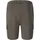 Virtus Nasas Shorts Regular Grün L