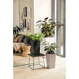 LECHUZA Cubico Color 30 Komplettset 30 x 30 x 56 cm sandbraun