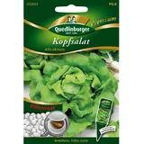 Quedlinburger Kopfsalat Attraktion Pillensaat