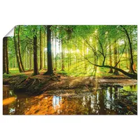 ARTland Artland, Wald mit Bach T9IO (60 x 40