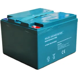 Efun Akku 6-DZM-30 12V 30Ah - passend für Elektromobile