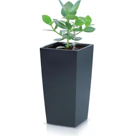 Prosperplast Urbi 49 Liter, Kunststoff, 32,5 x 32 x 61 cm Anthrazit