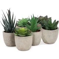 addhome 6er Set Kunstpflanzen Sukkulenten in Steinoptik-Töpfen 7,5-14cm H