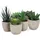 addhome 6er Set Kunstpflanzen Sukkulenten in Steinoptik-Töpfen 7,5-14cm H