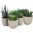 addhome 6er Set Kunstpflanzen Sukkulenten in Steinoptik-Töpfen 7,5-14cm H