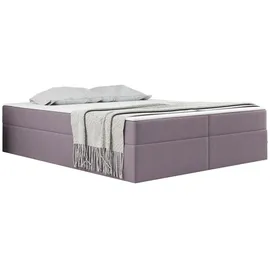 kaiser möbel Boxspringbett mit bettkasten matratze topper Ruben 160 cm x 200 cm Lila - Lila