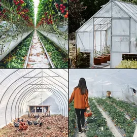 Vevor PE Gewächshausfolien Treibhausfolien, 3,6mx7,6m Folientunnel, 0,15mm Dicke - Transparent
