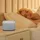 shop'n smile ideoon White Noise Wecker silber/weiß