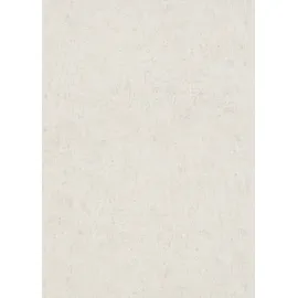 Erismann Vliestapete SAVANNA 0,53 m x 10 m 0,00 kg beige 1041814