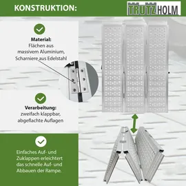 Baumarktplus DREIBREIT by TRUTZHOLM 2-fach Auffahrrampe klappbar 175 cm 1020 kg Alu grau gelocht Verladerampe